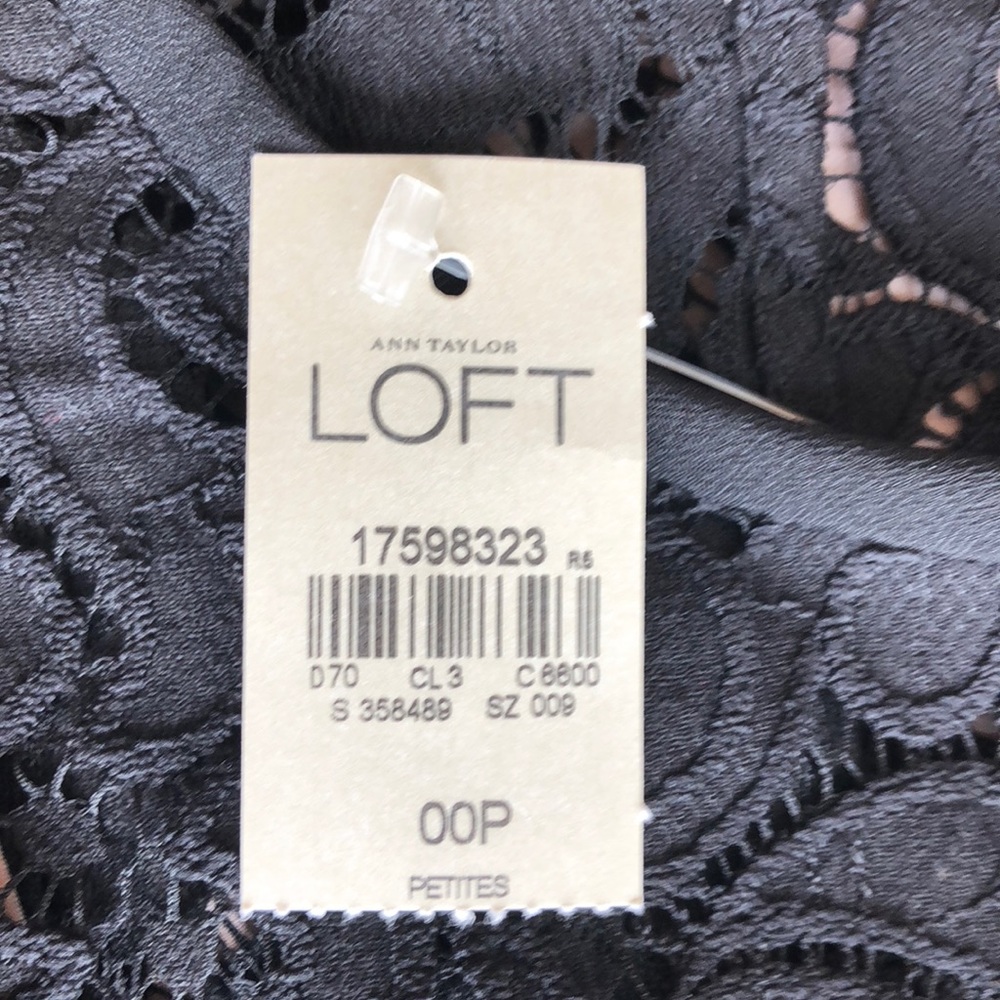NWT! Loft short sleeve lace shift dress - Picture 3 of 7